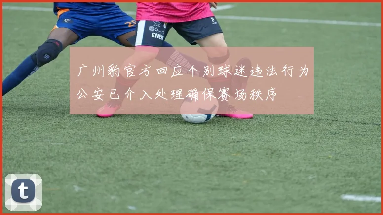 广州豹官方回应个别球迷违法行为公安已介入处理确保赛场秩序