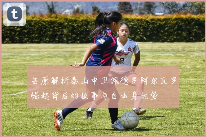 苗原解析泰山中卫佩德罗阿尔瓦罗崛起背后的故事与自由身优势